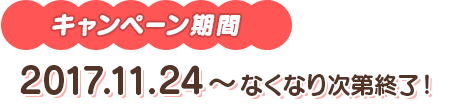 2017.11.24～なくなり次第終了！