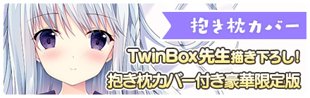 TwinBox先生描き下ろし抱き枕カバー付き豪華限定版