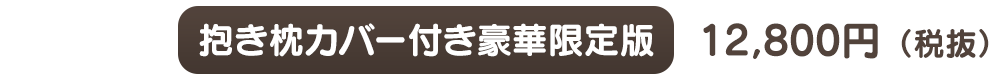 抱き枕カバー付き豪華限定版：11,000円