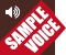 SAMPLE VOICE